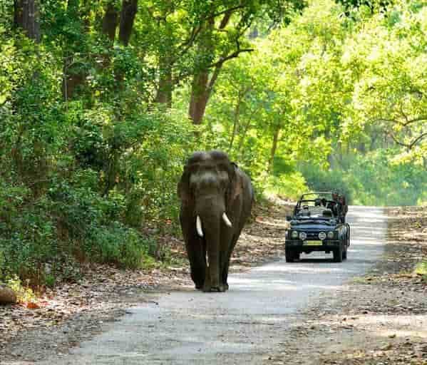Jim Corbett National Park, Uttarakhand